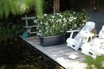 green basics garden xxl 60cm living black